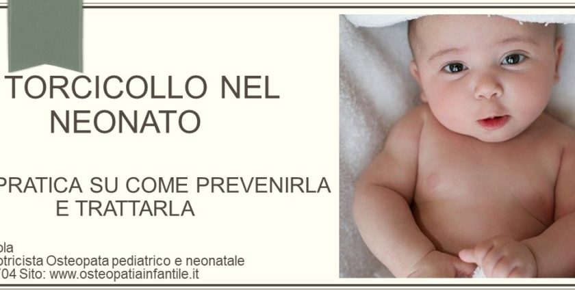 torcicollo neonato