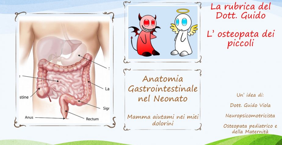 Anatomia gastrointestinale nel Neonato