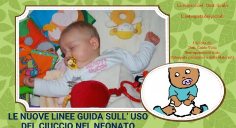 SIDS e Ciuccio, Le nuove linee guida